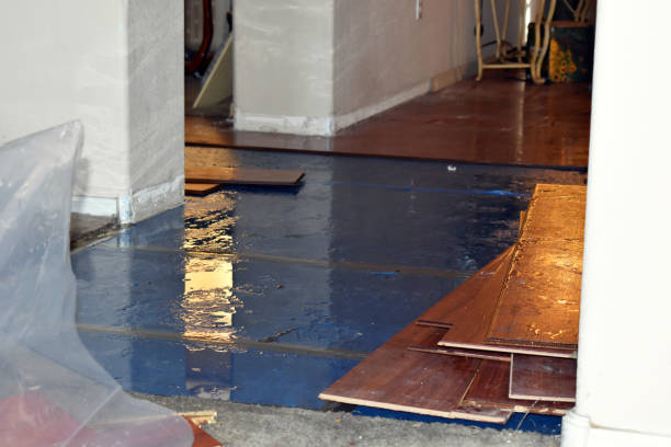 Professional Burst Pipe Cleanup technician working in Garland, UT
